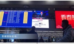 央视新闻爆料病毒视频,揭秘病毒视频背后真相